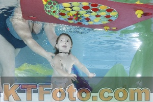 Photo 4302416