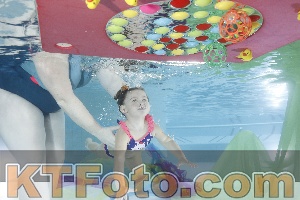 Photo 4302417