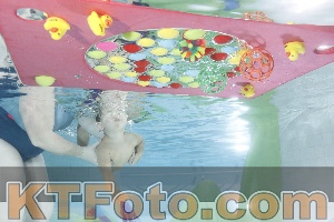 Photo 4302421