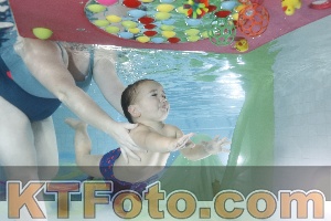 Foto 4302423