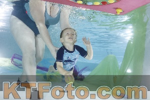 Foto 4302425