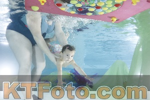 Foto 4302428