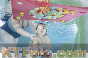 Foto 4302430