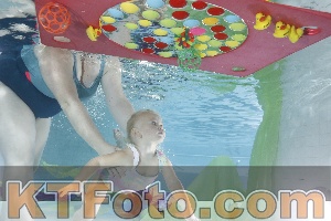 Photo 4302433