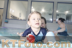 Photo 4302479