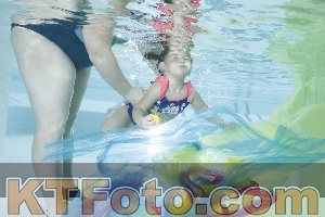 Photo 4302480