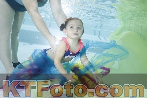 Photo 4302483