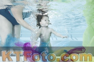 Photo 4302484