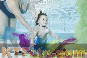 Photo 4302485