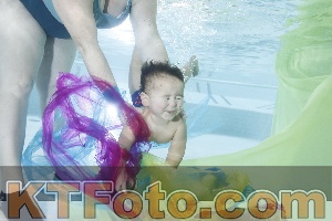 Photo 4302488