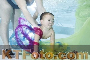 Photo 4302489