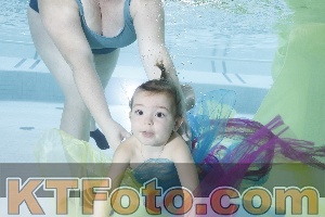 Photo 4302496