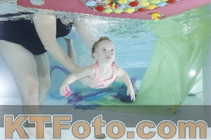 Photo 4302562