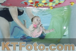 Photo 4302563