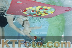 Photo 4302566