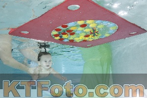 Photo 4302569