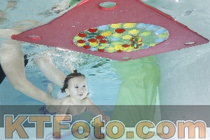 Photo 4302570