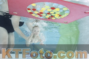 Photo 4302572