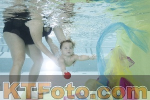 Photo 4302608