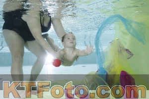Photo 4302609