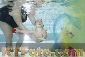 Photo 4302610