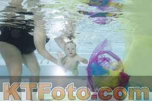 Photo 4302616