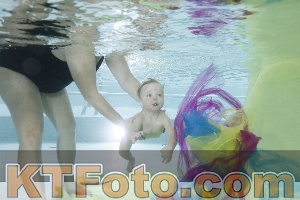 Photo 4302617