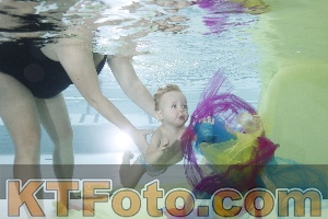 Photo 4302618