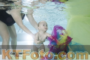 Photo 4302619