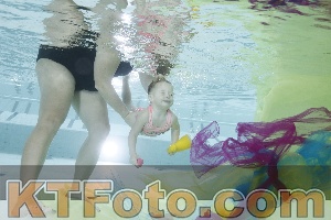Photo 4302620