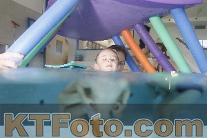 Photo 4302645