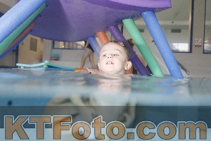 Photo 4302646