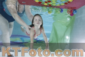 Foto 4302679