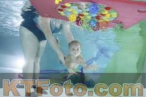 Photo 4302689
