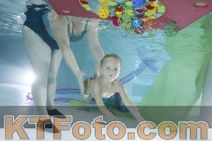 Photo 4302690