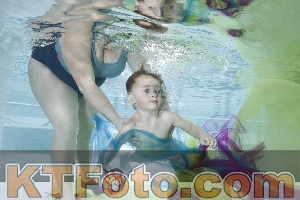 Photo 4302720