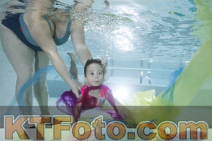 Photo 4302731