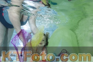 Photo 4302734