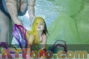 Photo 4302736