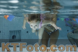 Photo 4302779