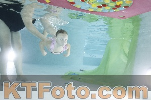 Photo 4302803