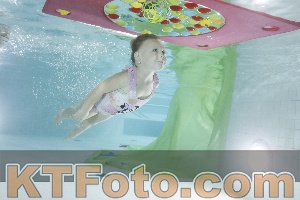 Photo 4302805