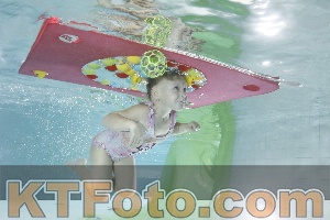 Photo 4302806