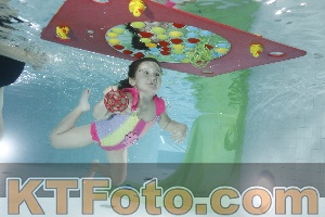 Photo 4302808