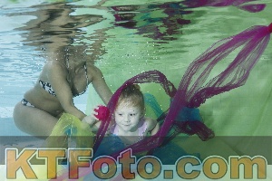 Photo 4302842