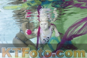 Photo 4302843