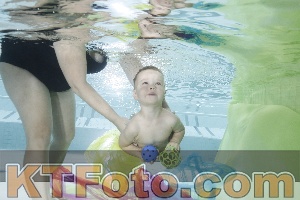 Photo 4302848