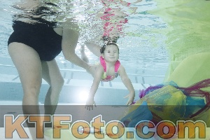 Photo 4302850