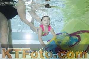 Photo 4302852