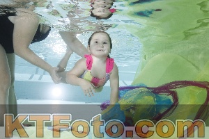 Photo 4302853